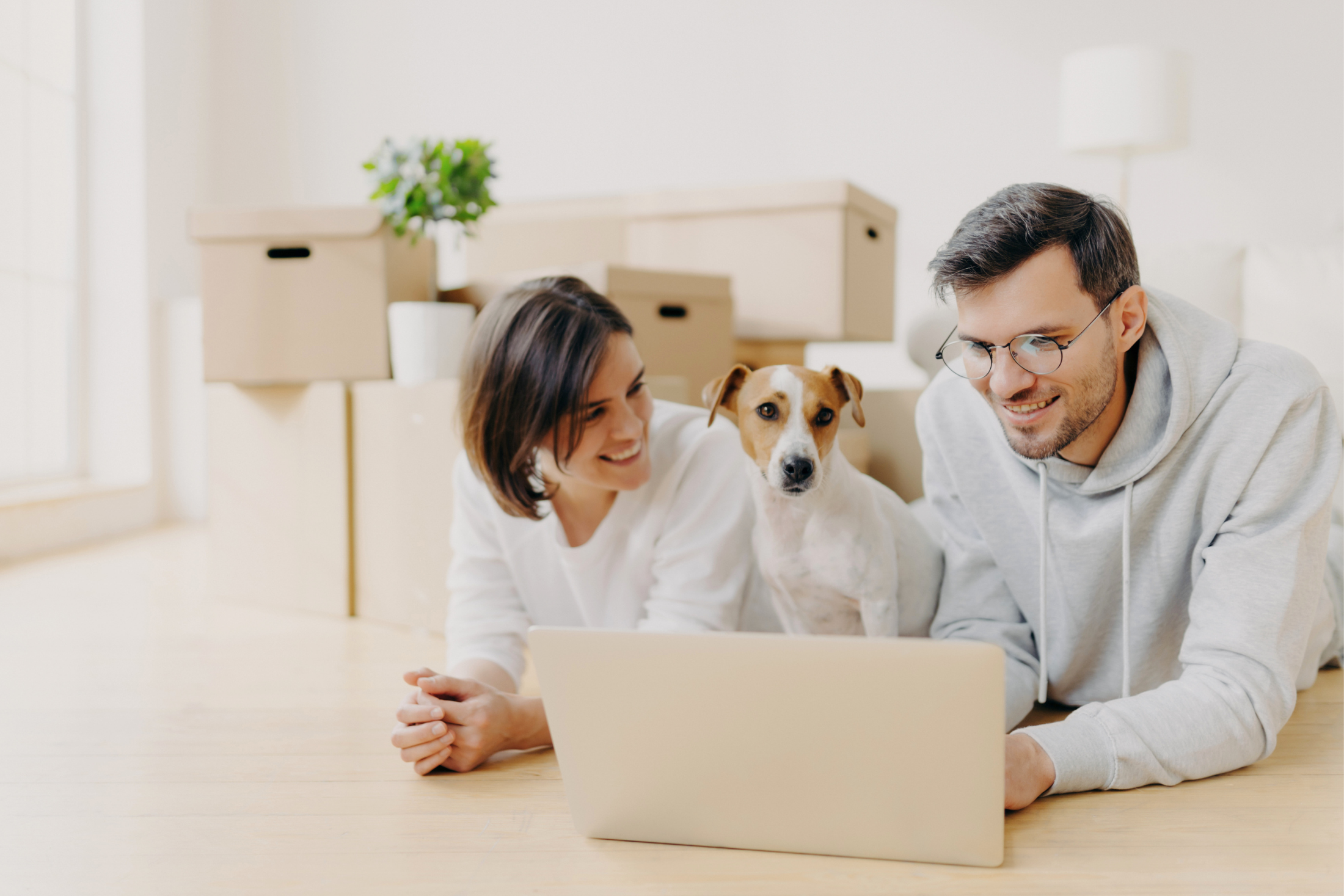 A smiling couple lies on a wooden floor in front of an open laptop, with a brown-and-white Jack Russell terrier sitting between them and cardboard moving boxes in the background.